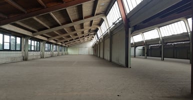 13065617