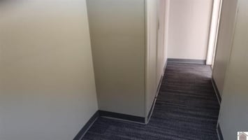 13069303