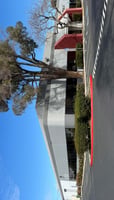 13101087