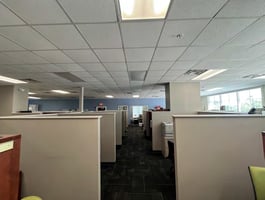 13164894