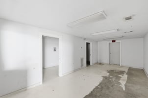13174607