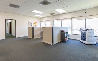 13204831