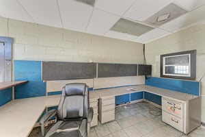 13217008