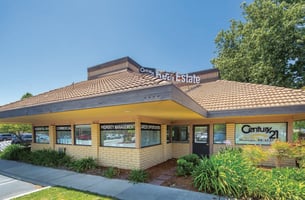 13376017