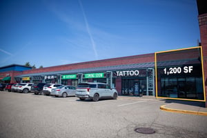 13436524