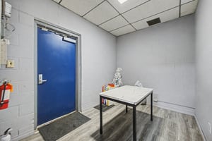 13507589