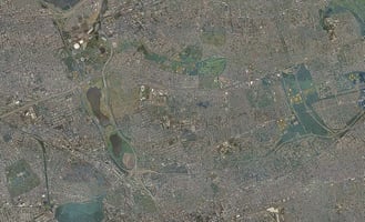 13693561