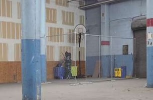 13516764