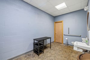 13536411