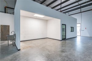 13563504