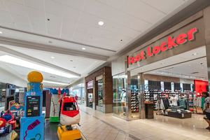 13595082