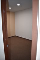 13703035