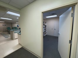 13716873