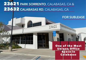 13735819