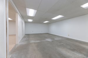 13737538