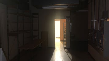 13743676