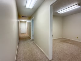 13743282