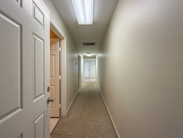 13743293