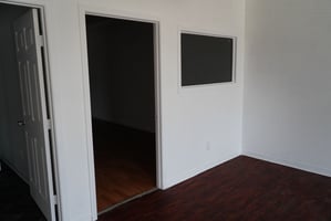 13743354