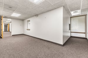 13745306