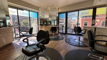 13753329