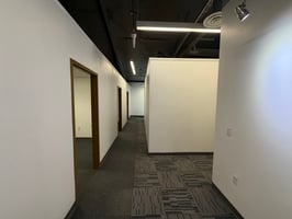 3879074