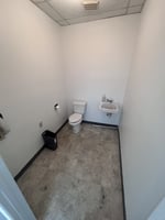 13758804