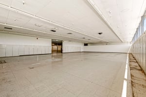 13765841