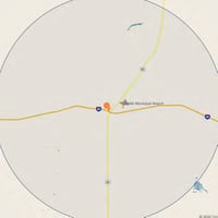 13772229