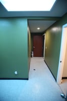 13794533
