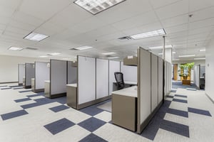 13794624