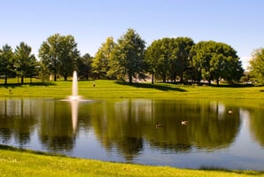 13845555