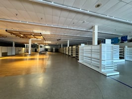 10668629