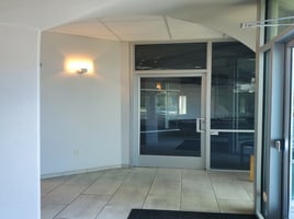 13733431