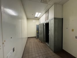 13005681