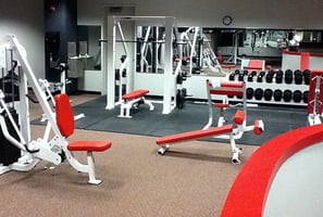 3953647