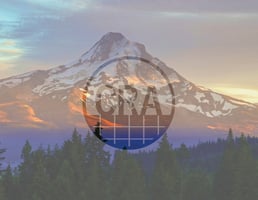 13623659
