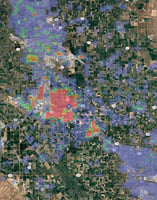 10694292