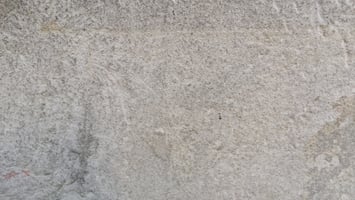 1009577