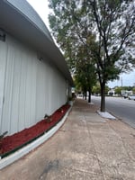 6204731