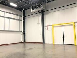 9253769