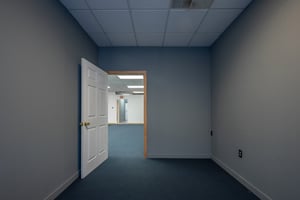 3137755