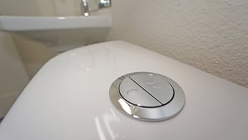 3590804