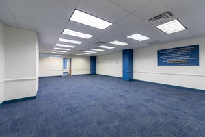 2593911