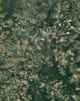 13590695