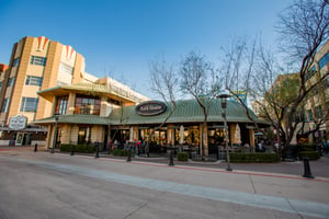9023638