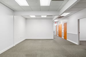 10698817