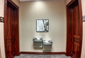 10685863