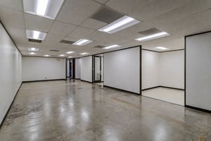 13566941