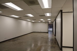 12705224